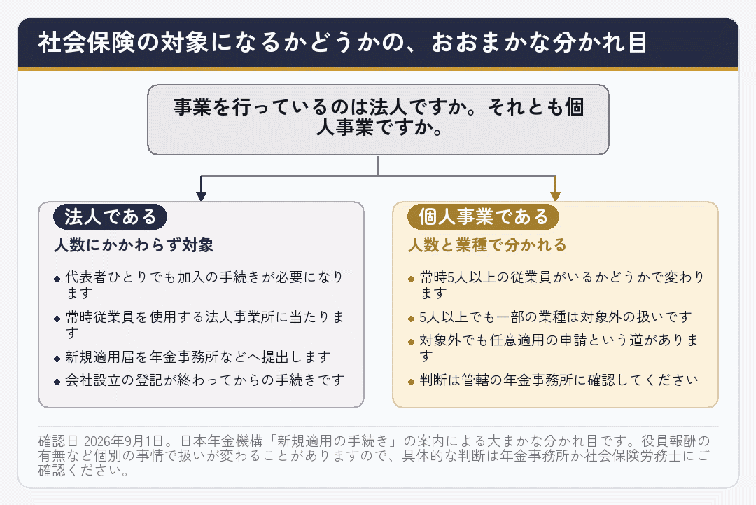 法人か個人事業かで社会保険の対象が分かれることを示した分岐図