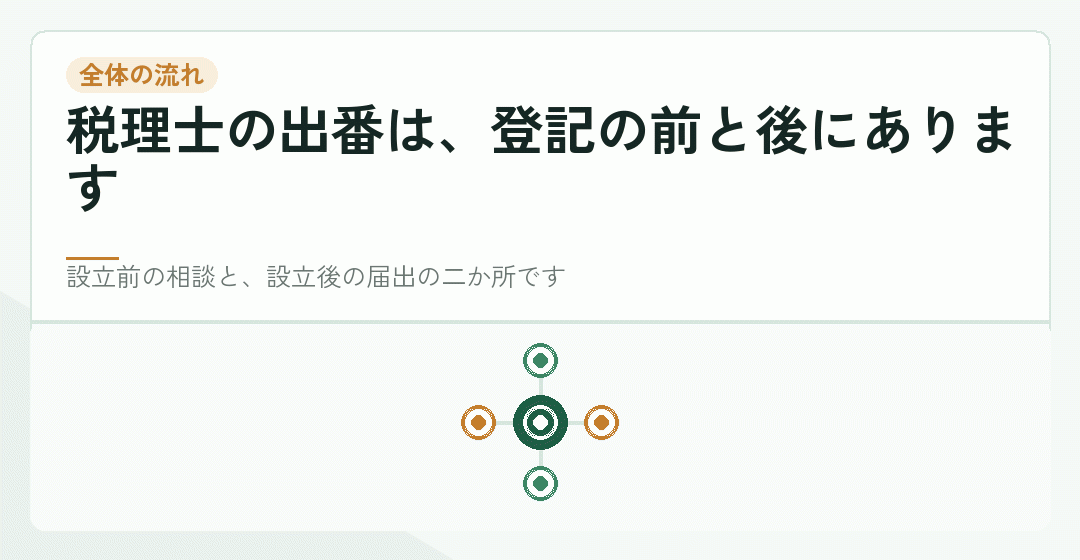 会社設立の流れの中で税理士が関わる場面を表したイラスト