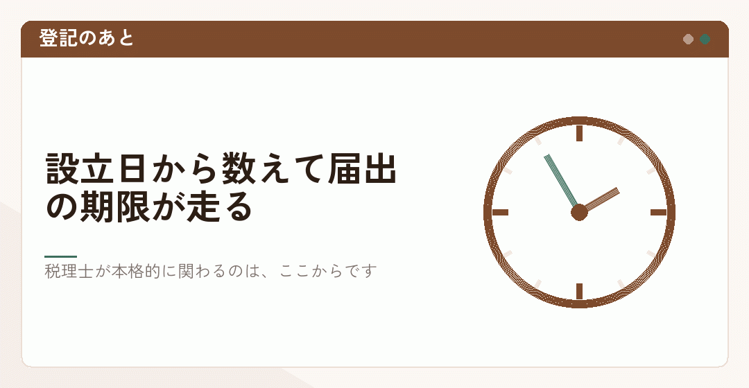 会社設立の登記のあとに税理士の届出が始まることを表したイラスト